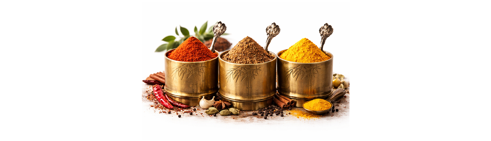 Indian Blend Spices