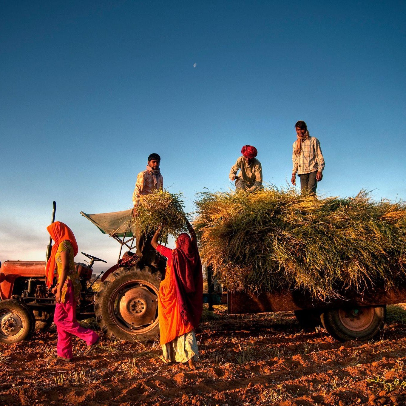 About Us c297ze1fbmpk2j5s0bxlsfzch7sv5msbmjaxqigzfuyahkpaoyjem7wbrw3eq rgojq68sgyh6qqdes5fz 0q2wh50unromnhpkljgj6j5g