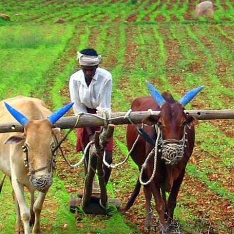 About Us india farming